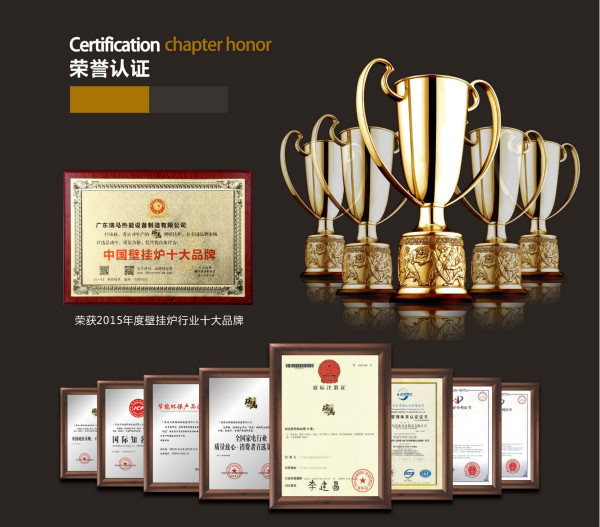 瑞馬燃氣壁掛爐，“代”您開創(chuàng)億萬富豪44